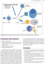 Temelden Kliniğe Hemopoietik Sistem